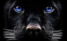 1080p High Resolution Black Panther Hd Wallpaper Doraemon In 2020 Dog Wallpaper Animal Wallpaper Black Panther Hd Wallpaper