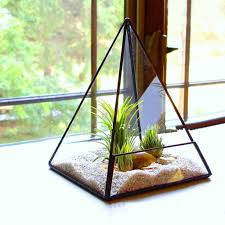 Pyramide Plante Moderne Pour Plantes Et Cactus En Verre Terrarium Suspendu Terrarium Verre Terrarium De Plantes Grasses