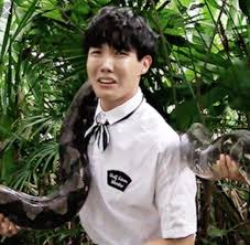 Snakes are one of the world's most feared animals. J Hope The Bravest Of Us All Army S Amino