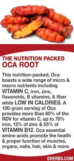This Nutrition Packed Oca Boasts A Wide Range Of Micro Macro Nutrients Including Vitamin C Iron Zinc Flavonoids B Vitamin Nutrition Healing Food Healthy