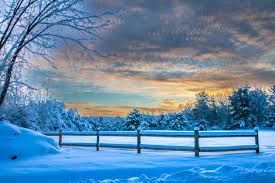 326 100+ Janvier Photos Photos, taleaux et images libre de droits - iStock