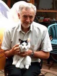 Rosa luxemburgo (nascida rozalia luksenburg; Cats Socialism The Truth At Last Kmflett S Blog