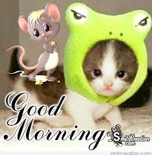 Kattar friendship status in marathi/कट्टर दोस्ती स्टेटस. Cute Funny Good Morning Animals Pictures Smitcreation Com