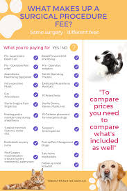 When Price Shopping For Cheap Veterinary Fees Especially Surgical Procedures You Need To Make Sure You Find In 2020 Veterinary Clinic Veterinary Care Cat Health Care