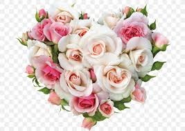 We did not find results for: Light Rose Mural Color Flower Png 700x579px Light Artificial Flower Color Cut Flowers Floral Design Download