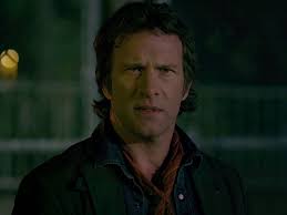 Reach Me: Wolfie In The Park