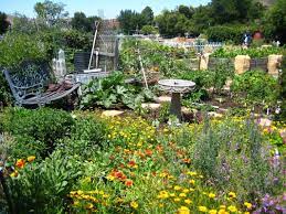Seasonal Bee Gardening Bee Garden Bee Friendly Garden Bee Garden Design