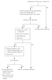 Treatment And Prevention Of Kidney Stones An Update