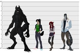 Werewolf Height Chart Clipart Human Height Growth Chart