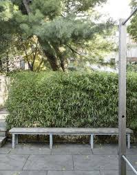 Outdoor bamboo shades are fairly easy to make, relatively inexpensive, and will spruce up almost any garden or landscaping. 10 Things Nobody Tells You About Bamboo Gardenista