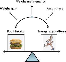Energy Balance Definition Of Energy Balance By Merriam Webster