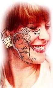 Profile for Cerene Milenio Clínica de Rehabilitación Física y  Neurodesarrollo