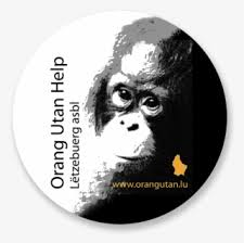 728+ kostenlose orang utan png bilder. Orangutan Png Orang Utan Transparent Png 662x548 Free Download On Nicepng