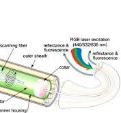 Optical fibers for high-resolution in vivo microendoscopic ...