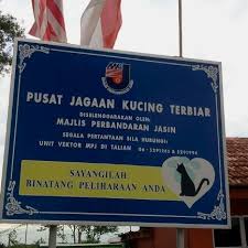 Kucing akan hidup lama hampir 20 tahun jika menjaganya dengan baik. Pusat Jagaan Kucing Terbiar