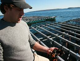 Images: Bangs Island Mussels in Casco Bay, Maine