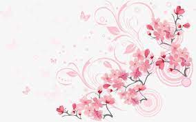 lindas flores de cerejeira galhos de cerejeira borboleta decoracao png imagem para download gratuito flor de cerejeira flores lindas flores