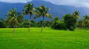 Download High Resolution Images Kerala Tourism Amazing Nature Photos Nature Images Hd Nature Photography