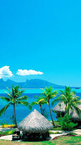 We have now placed twitpic in an archived state. Full Hd Tree Background For Editing Novocom Top