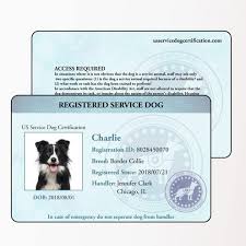 A service animal owner contacted disability rights arkansas for assistance with her rights under the americans with disabilities act regarding her service animal. Service Dog Digital Package Us Service Dog Certification
