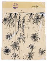 At the intersection of art and science: Drawings by Santiago Ramón y Cajal 