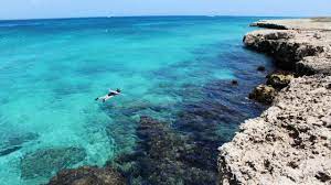Aruba Snorkeling Beaches Best Snorkeling In The Caribbean Aruba Tourism Blog Aruba Com Best Snorkeling Aruba Beach Aruba Travel