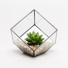 100 New Elegant Decorative Planter Display Box Made Of Panes Of Clear Glass Arranged In A Faceted Polygon Design Perfect For Cac Suculentas Geometria