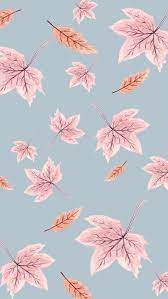 15 Cute Iphone Wallpapers Hd Quality Free Download Iphone Wallpaper Fall Wallpaper Iphone Cute Cute Fall Wallpaper