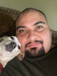 Introduction to pet chihuahuas