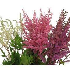 Pin On Wedding Flowers Lighting Decor