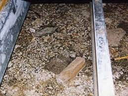 We did not find results for: Mold Image Library Mold Us Epa