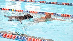 However, he has not revealed his actual age to the general public yet. Caeleb Dressel Is The Heir To Michael Phelps At The 2020 Olympics Sports Illustrated