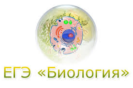 Видео уроки по биологии демовариант егэ 2018. Navigator Dopolnitelnogo Obrazovaniya Pskovskoj Oblasti