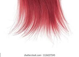 When the hair grows back, it tends to be white due. Tips Red Hair On White Background Stock Photo Edit Now 1126227245