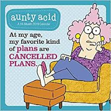 Aunty Acid Wall Calendar 2019 Mead 9781635713855 Amazon Com Books