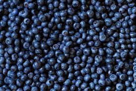 South African Blueberry Sector Set For Sharp Growth