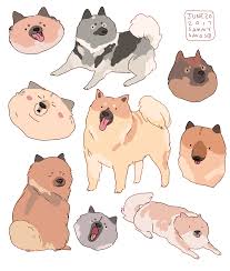 Eurasiers Animal Drawings Cute Art Cute Drawings