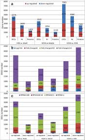 Di jalan marsma r iswahyudi rt 02, kelurahan sepinggan raya,. Transcriptomic Profiling Provides Molecular Insights Into Hydrogen Peroxide Induced Adventitious Rooting In Mung Bean Seedlings Abstract Europe Pmc