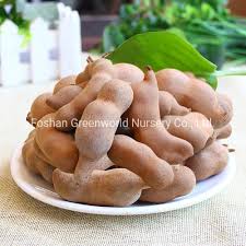 Image result for Tamarindus