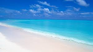 Check spelling or type a new query. 23 Beach Hd Wallpaper 1920x1080 On Wallpapersafari