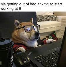 Dog Memes Me Since The Quarantine Started Facebook