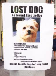 Lost Dog No Reward Keep The Dog Losing A Dog Dog Signs Funny Dog Pictures