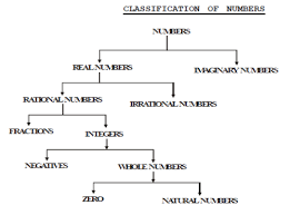 17 Perspicuous Number System Flowchart