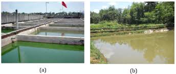 Penyebab Warna Pada Air Tneutron