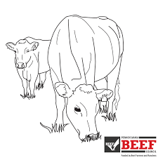 As they study animals, fourth grade students discuss common characteristics and learn to compare. Beef Coloring Contest