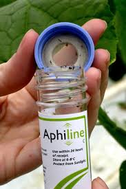 Image result for Aphthasol