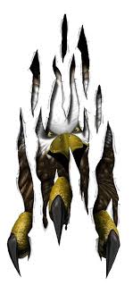 Eagle Claws Rip Cornhole Game Decal Set Eagle Claw Cornhole Game Decals American Bald Eagle