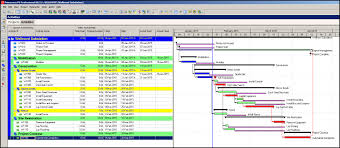 Primavera P6 Displaying Total Float Of Activities On The