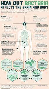 How Gut Bacteria Affects The Brain And Body Plexus Myvoffice Com Suzannemdenman Gut Health Holistic Health Body Health