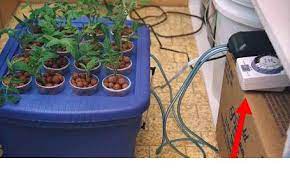 The first 2 are aeroponic cloners and the last is a simple hydroponic cloning method. Easy To Make Homemade Aeroponics Cloner